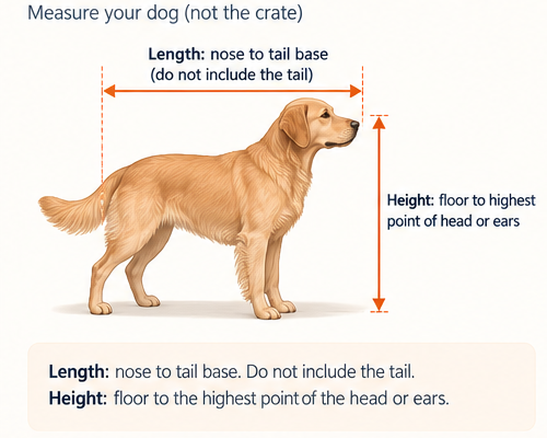 Side-view dog measurement guide. Length runs from the nose to the base of the tail and does not include the tail. Height runs from the floor to the highest point of the head or ears.